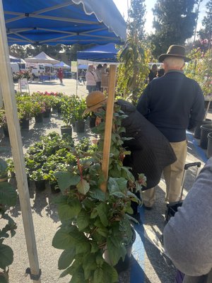Burbank Farmers Market by null