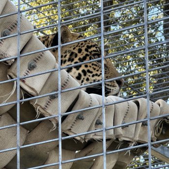 Lions Tigers & Bears - Community Service/Non-Profit Near Me - Alpine, California