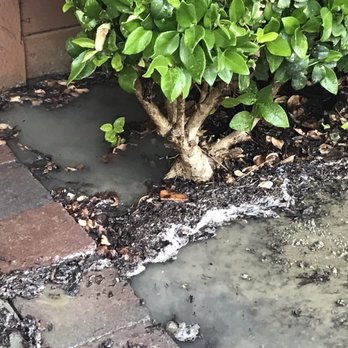 Joubert Services - Broken sprinkler pipe flooded our side yard. - Handyman Near Me Joubert Services - Broken sprinkler pipe flooded our side yard. - Handyman Near Me
