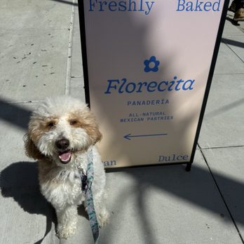 Florecita Panadería - Florecita is doodle approved! - Bakeries Near Me - San Francisco, California Florecita Panadería - Florecita is doodle approved! - Bakeries Near Me - San Francisco, California