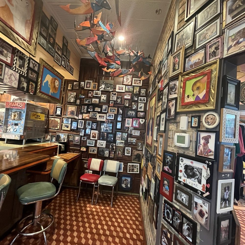 Chuy's - More dog pics! - Tex-Mex Near Me - Charlotte, North Carolina Chuy's - More dog pics! - Tex-Mex Near Me - Charlotte, North Carolina