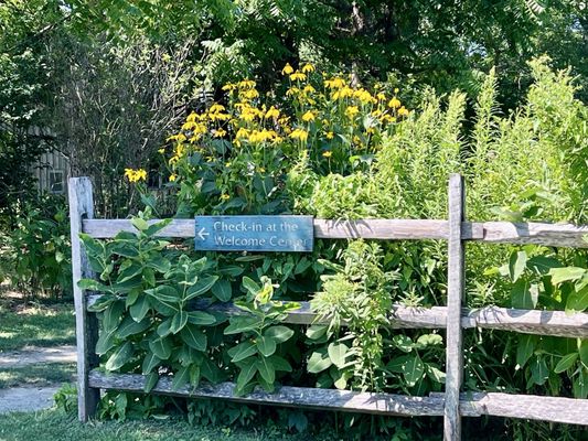 Norman Bird Sanctuary by null