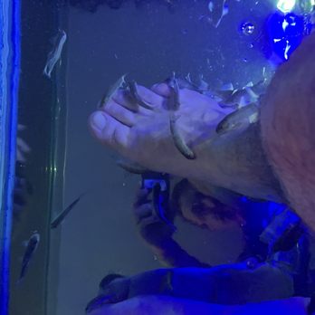 Holistic Spa Cancun - Fish feeding - Day Spas Near Me - Cancún, ROO Holistic Spa Cancun - Fish feeding - Day Spas Near Me - Cancún, ROO
