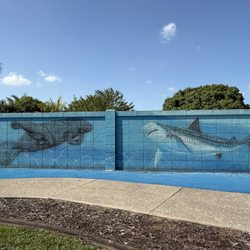 Water for Life Wyland’s 99th Whaling Wall