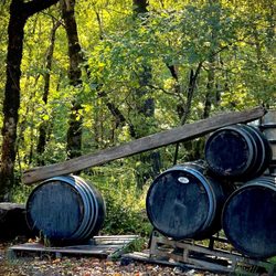 Briceland Vineyards - Harvest Host spot