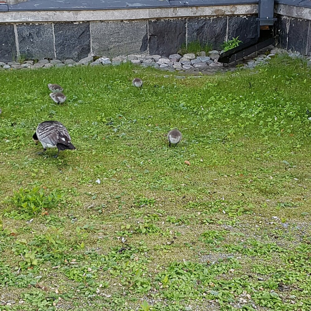 Little cuties Little cuties