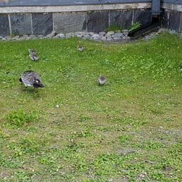 Little cuties Little cuties