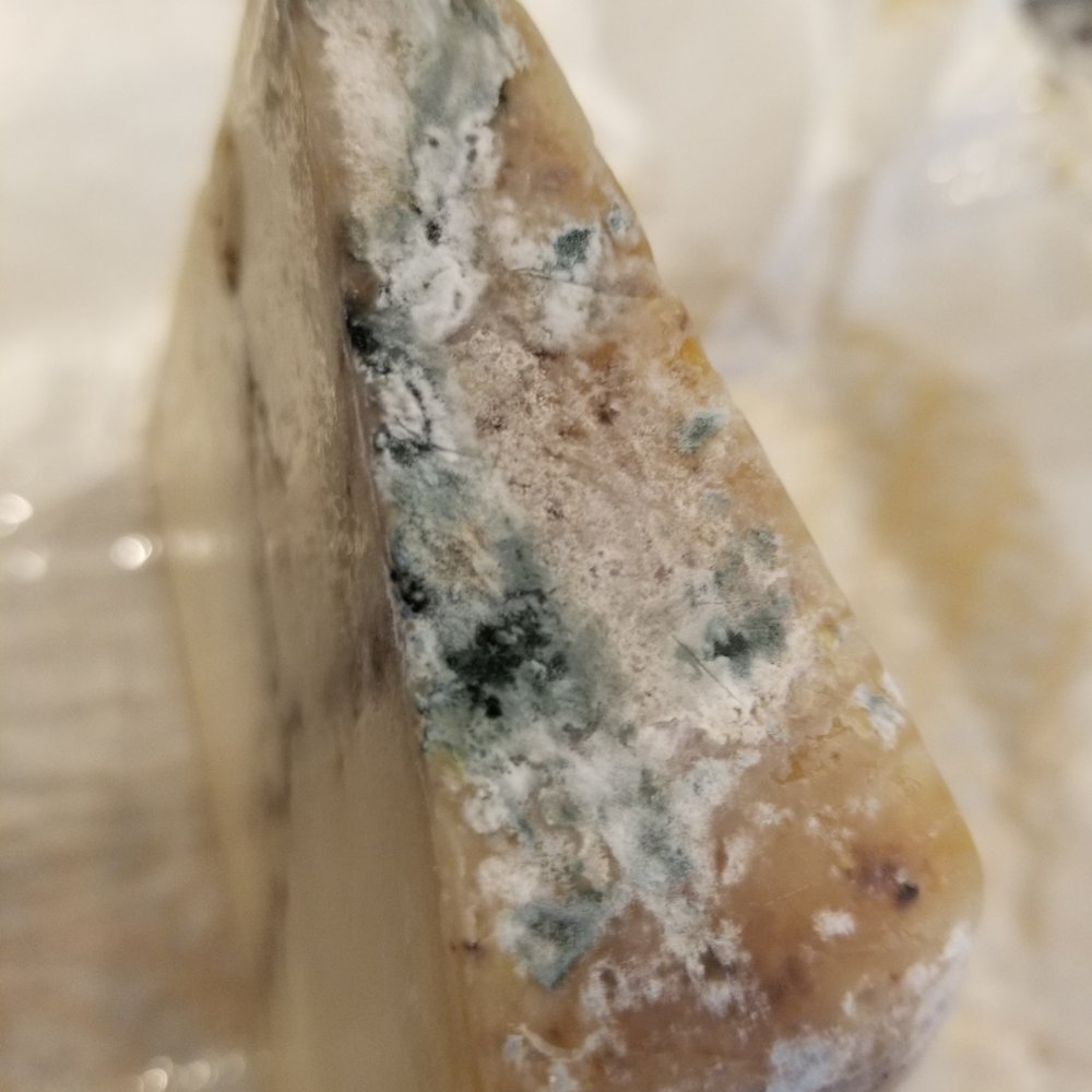 Murray's Cheese - Bleecker - This was the $100/lb truffle cheese. - Cheese Shops Near Me - New York, New York Murray's Cheese - Bleecker - This was the $100/lb truffle cheese. - Cheese Shops Near Me - New York, New York