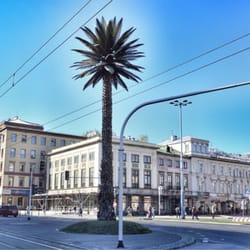 Rondo Charles'a de Gaulle'a - The plastic palm tree on Charles de Gaulle roundabout.