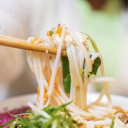 Yunnan By Potomac Noodle House - Mogu Shiitake bowl