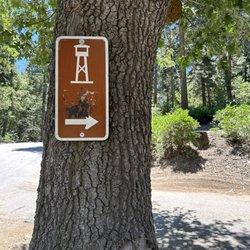 Strawberry Peak Fire Lookout Tower