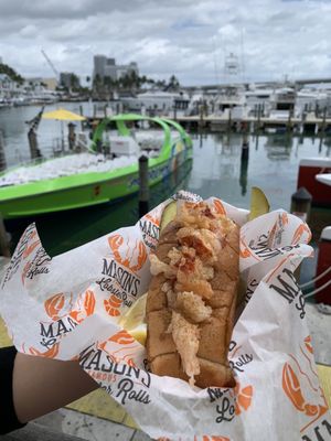 Mason's Famous Lobster Rolls by null