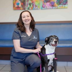 Glastonbury Veterinary Hospital
