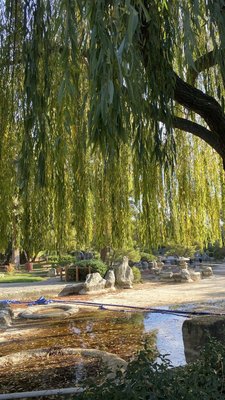 Japanese Friendship Garden by null