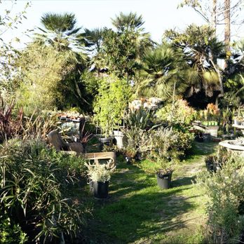 Sunflower Farms - The nursery - Nurseries & Gardening Near Me - Torrance, California Sunflower Farms - The nursery - Nurseries & Gardening Near Me - Torrance, California