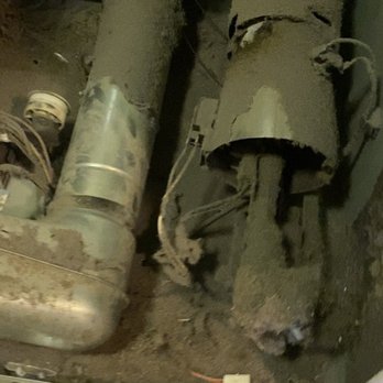 Alfa Appliances - Dog hair galore... A possible fire hazard - Appliances & Repair Near Me Alfa Appliances - Dog hair galore... A possible fire hazard - Appliances & Repair Near Me