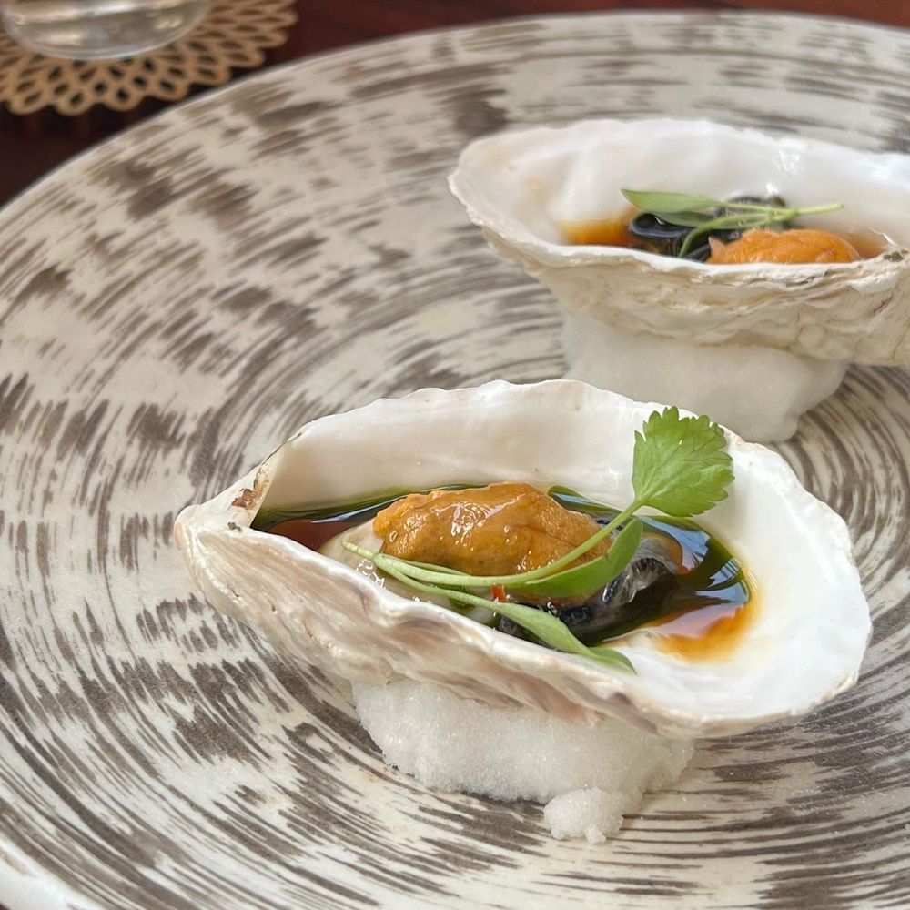 Namo - the delicious featured oysters from British Columbia - topped with a chili oil - Japanese Near Me - Dallas, Texas Namo - the delicious featured oysters from British Columbia - topped with a chili oil - Japanese Near Me - Dallas, Texas
