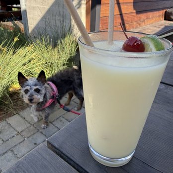 Pizzeria Violetta - Frozen Pina Colada - Pizza Near Me - Oakland, California Pizzeria Violetta - Frozen Pina Colada - Pizza Near Me - Oakland, California
