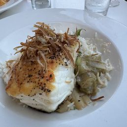 Halibut Halibut