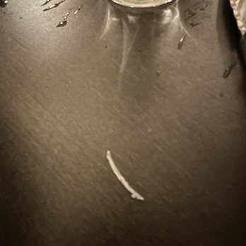 Bouzy - The bone I bit into in the grouper - Wine Bars Near Me - Tampa, Florida Bouzy - The bone I bit into in the grouper - Wine Bars Near Me - Tampa, Florida