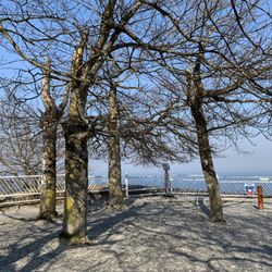 Nationalpark Königsstuhl - Aussichtsplattform