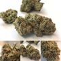 Photo of Canna Care