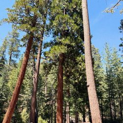 Buckhorn Campground
