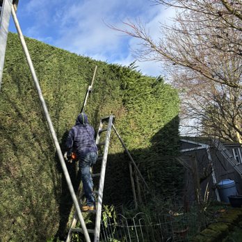 Eagles lawn & gardening - Gardeners Near Me Eagles lawn & gardening - Gardeners Near Me