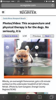 Photo of The Orange County Register - Irvine, CA, US. Excellent journalism! Rocky the overweight Pomeranian is the best thing I have seen on the OC REGISTER website ever !!!