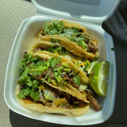 Adams Tacqueria - Beef Fajita with grilled onions, cheese and cilantro
