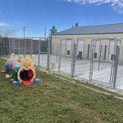 Woof Woof Pet Resort - Woof Woof Pet Resort
South Side Dog Runs and Play Yard