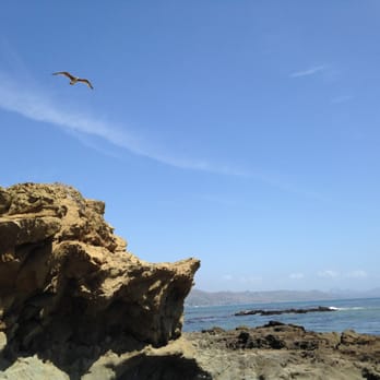 Estero Bluffs State Park - Hiking Near Me - Cayucos, California Estero Bluffs State Park - Hiking Near Me - Cayucos, California