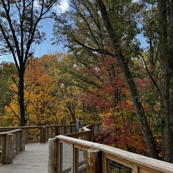 Blacklick Woods Metro Park and Golf Courses - Canopy Walk