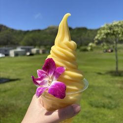 Aloha Diamond Head Hike - Dole whip at the bottom. The reward after the hike!