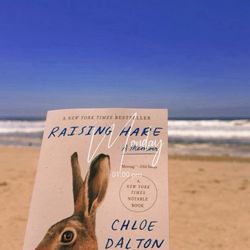 Stinson Beach Books