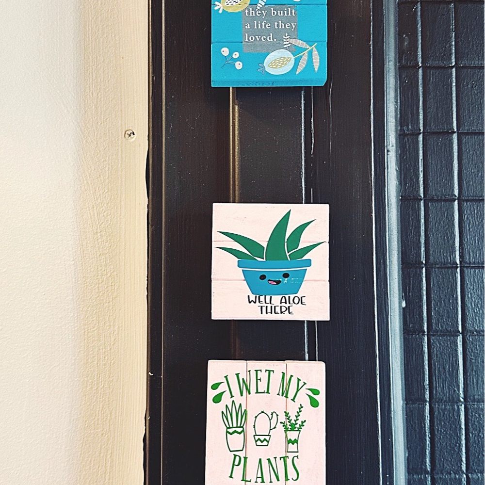 The Potted Palm - Plant Magnets - Gift Shops Near Me - Cincinnati, Ohio The Potted Palm - Plant Magnets - Gift Shops Near Me - Cincinnati, Ohio
