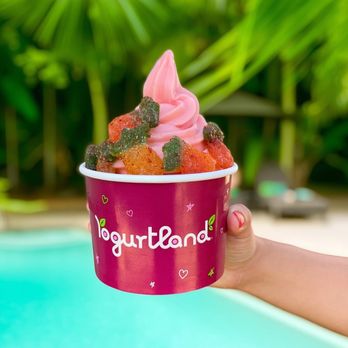 YOGURTLAND - Updated June 2025 - 172 Photos & 58 Reviews