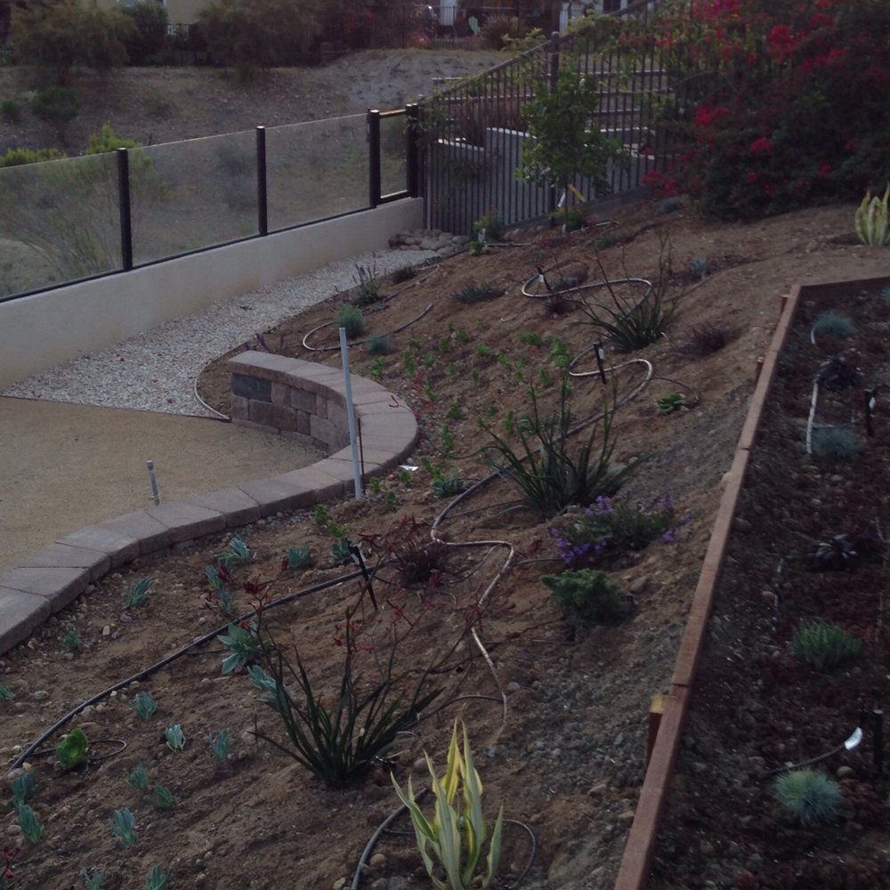 Del Mar Landscapes - Landscaping Near Me - San Diego, California Del Mar Landscapes - Landscaping Near Me - San Diego, California