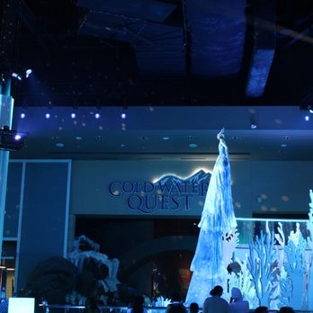 Georgia Aquarium - Aquariums Near Me - Atlanta, Georgia