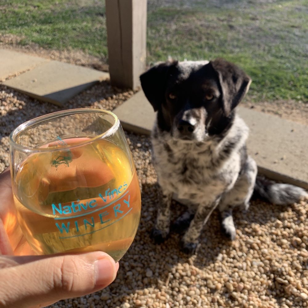 Native Vines Winery - White Buffalo Wine and a local friend! - Wineries Near Me - Lexington, North Carolina Native Vines Winery - White Buffalo Wine and a local friend! - Wineries Near Me - Lexington, North Carolina