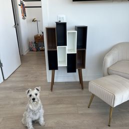 And the finished product, plus my three-year-old miniature schnauzer, Sir Winston. And the finished product, plus my three-year-old miniature schnauzer, Sir Winston.