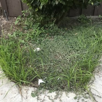 Vintage Management Consultants - Property Management Near Me - Ontario, California Vintage Management Consultants - Property Management Near Me - Ontario, California
