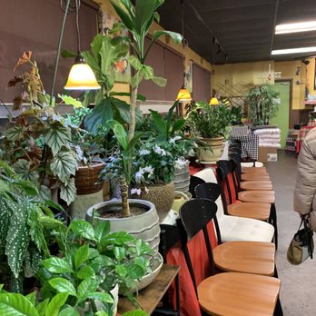 St John's Kitchen - Greenery! - Asian Fusion Near Me - Portland, Oregon
