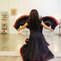 Alegria Performing Arts Academy