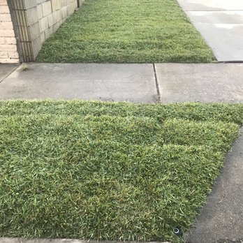Armandos Gardening Service - Landscaping Near Me - Downey, California Armandos Gardening Service - Landscaping Near Me - Downey, California