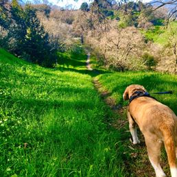 Trails