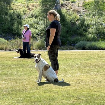 Sit Means Sit Dog - Heel Walk Training on Saturdays - Pet Training Near Me - San Juan Capistrano, California Sit Means Sit Dog - Heel Walk Training on Saturdays - Pet Training Near Me - San Juan Capistrano, California