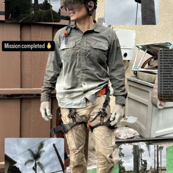 Suarez Tree Service - Tree Services Near Me