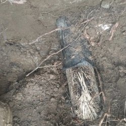 Camacho’s Rooter & Plumbing