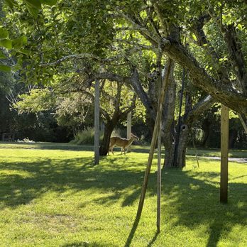 Dawn Ranch - Hotels Near Me - Guerneville, California Dawn Ranch - Hotels Near Me - Guerneville, California